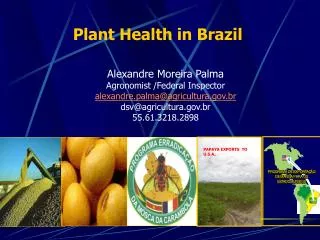 Plant Health in Brazil