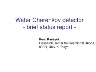 Water Cherenkov detector - brief status report -