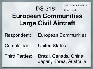 European Communities Large Civil Aircraft