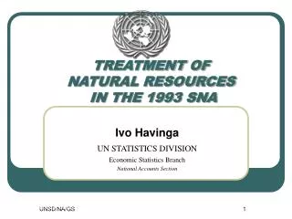 TREATMENT OF NATURAL RESOURCES IN THE 1993 SNA