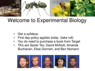 Welcome to Experimental Biology