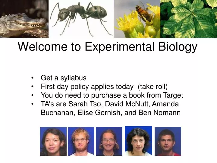 welcome to experimental biology