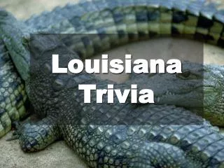 Louisiana Trivia