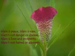 Islam is peace, Islam is ease, Islam's not danger or disease. Islam is love and prosperity. Islam's not hatred or advers