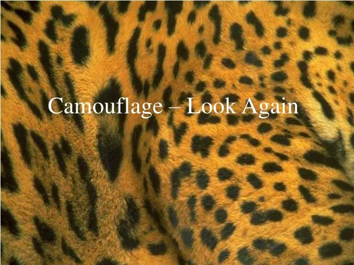 camouflage look again