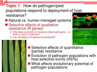 Topic 1 : How do pathogen/pest populations respond to deployment of host resistance?