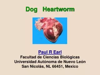 Dog Heartworm Paul R Earl Facultad de Ciencias Biológicas Universidad Autónoma de Nuevo León San Nicolás, NL 66451, Me