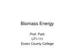 Biomass Energy - slide 1