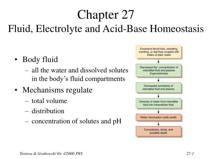 chapter 27 fluid electrolyte and acid base homeostasis