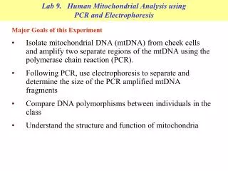 Lab 9. Human Mitochondrial Analysis using PCR and Electrophoresis