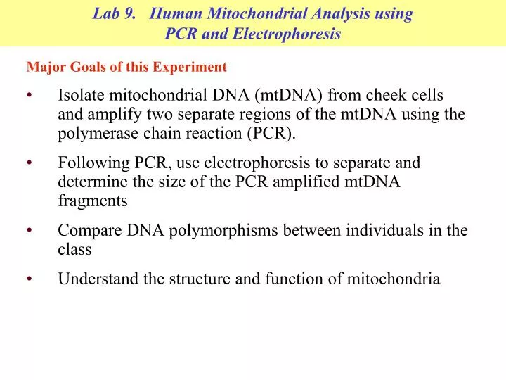 lab 9 human mitochondrial analysis using pcr and electrophoresis