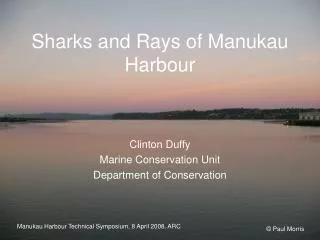 Sharks and Rays of Manukau Harbour
