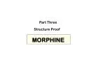 MORPHINE - slide 1