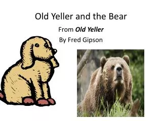 Old Yeller and the Bear