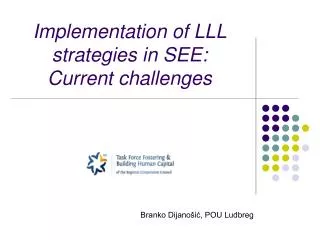 Implementation of LLL strategies in SEE: Current challenges
