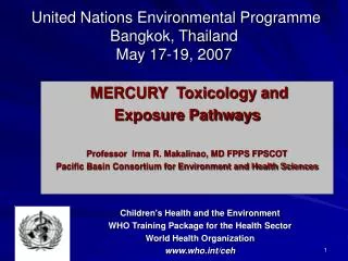 United Nations Environmental Programme Bangkok, Thailand May 17-19, 2007