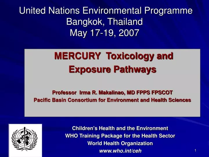united nations environmental programme bangkok thailand may 17 19 2007