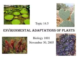 Environmental Adaptations of Plants
