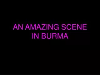 AN AMAZING SCENE IN BURMA