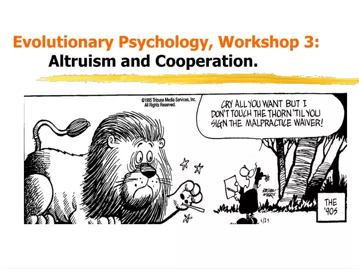 evolutionary psychology workshop 3 altruism and cooperation