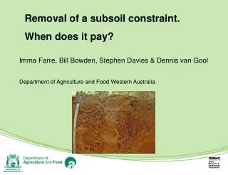 Removal of a subsoil constraint. When does it pay?