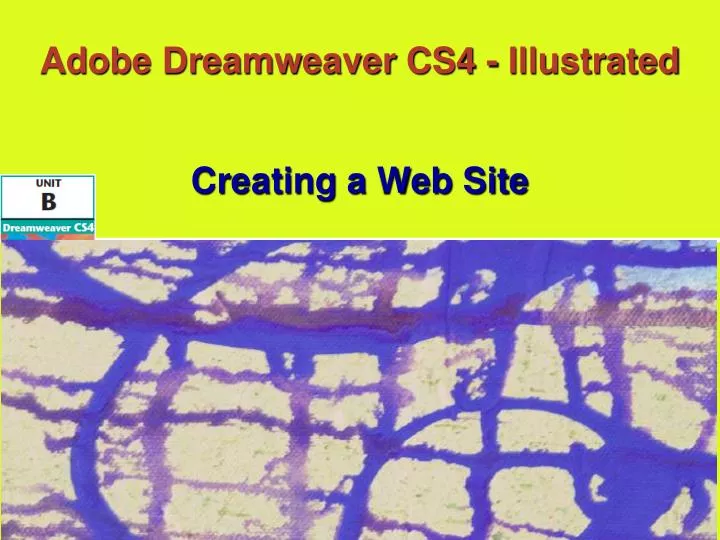 adobe dreamweaver cs4 illustrated