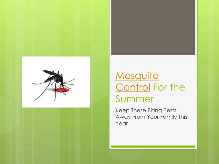 mosquito control for the summer