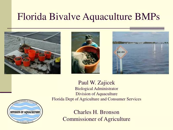 florida bivalve aquaculture bmps