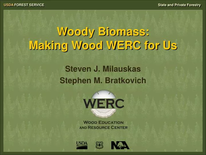 woody biomass making wood werc for us