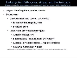 Eukaryotic Pathogens: Algae and Protozoans What types of eukaryotic organisms are pathogenic, and how do they differ fro