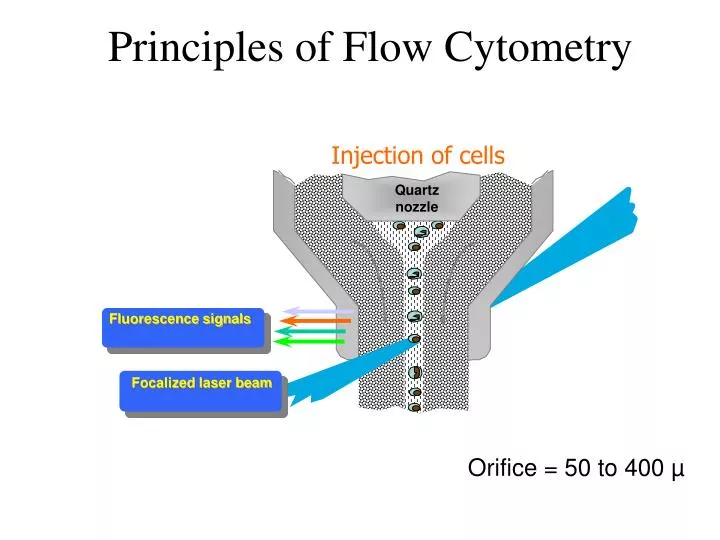 principles of flow cytometry