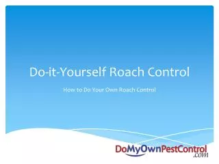 Do-it-Yourself Roach Control