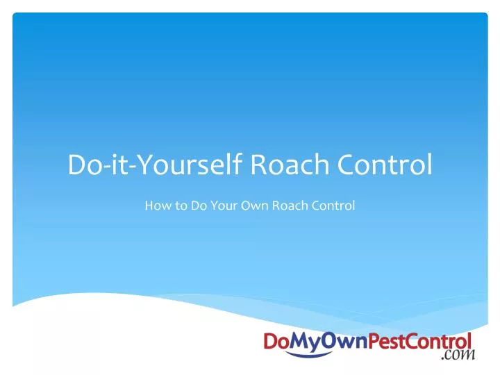 do it yourself roach control