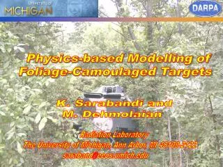 Physics-based Modelling of Foliage-Camoulaged Targets