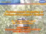 Physics-based Modelling of Foliage-Camoulaged Targets - slide 1