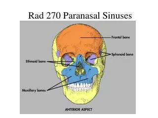 Rad 270 Paranasal Sinuses