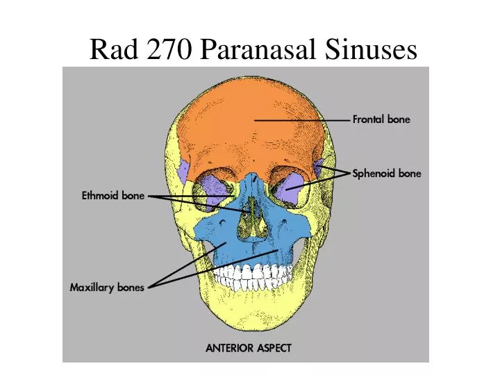 rad 270 paranasal sinuses