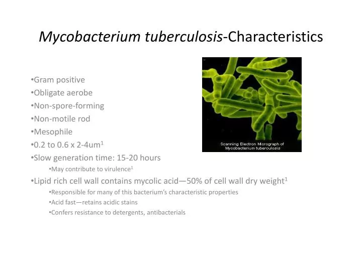 mycobacterium tuberculosis characteristics