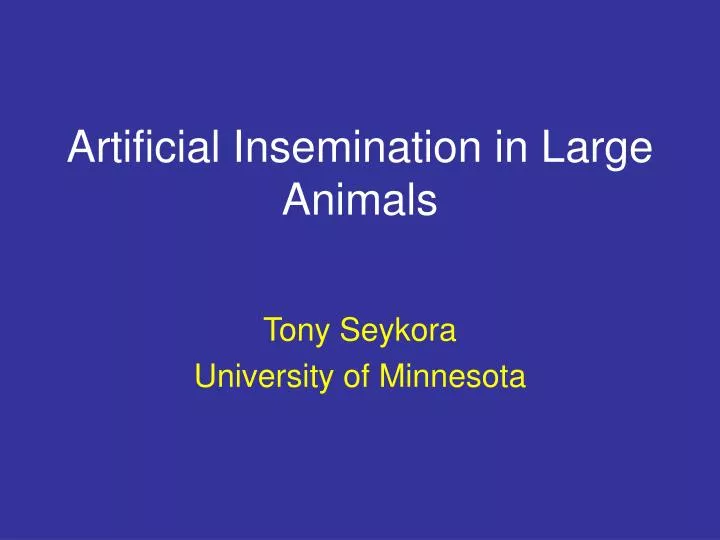 artificial insemination in large animals