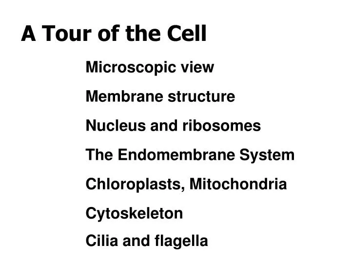 a tour of the cell