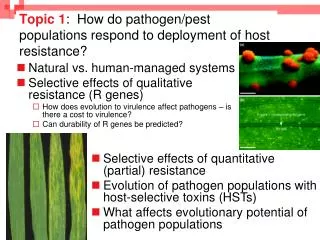 Topic 1 : How do pathogen/pest populations respond to deployment of host resistance?