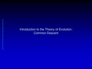 Introduction to the Theory of Evolution: Common Descent