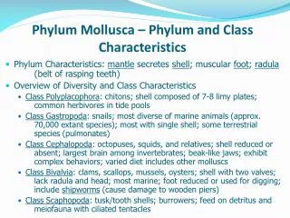 Phylum Mollusca – Phylum and Class Characteristics