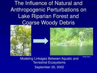 The Influence of Natural and Anthropogenic Perturbations on Lake Riparian Forest and Coarse Woody Debris
