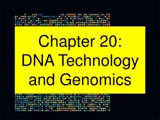 Chapter 20: DNA Technology and Genomics