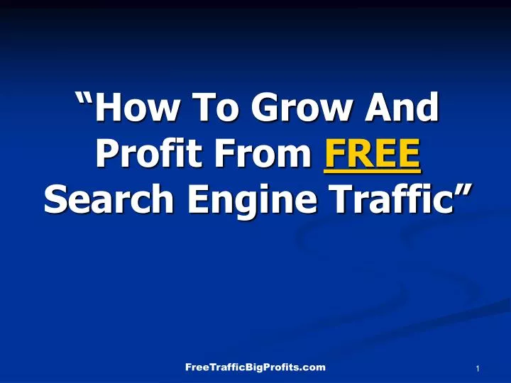 how to grow and profit from free search engine traffic