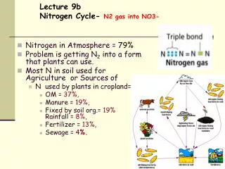 Lecture 9b Nitrogen Cycle- N2 gas into NO3-
