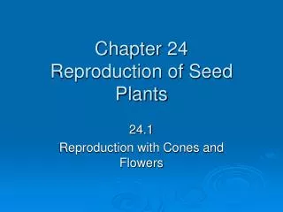 Chapter 24 Reproduction of Seed Plants