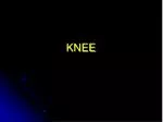 KNEE - slide 1