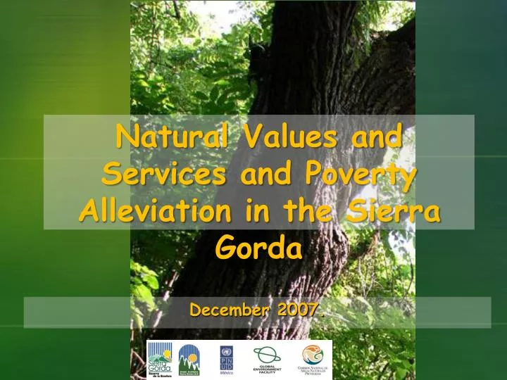 natural values and services and poverty alleviation in the sierra gorda